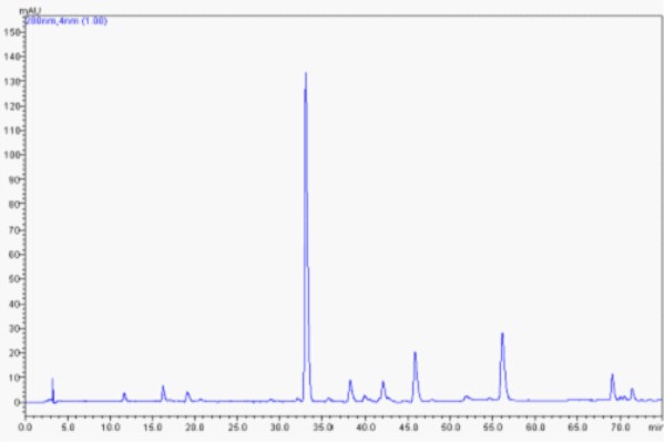 黄芩饮片HPLC特征图谱