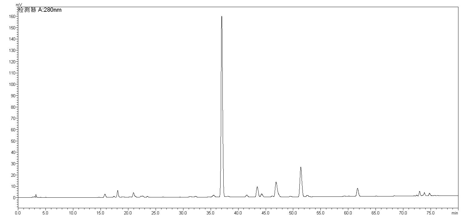 酒黄芩hplc