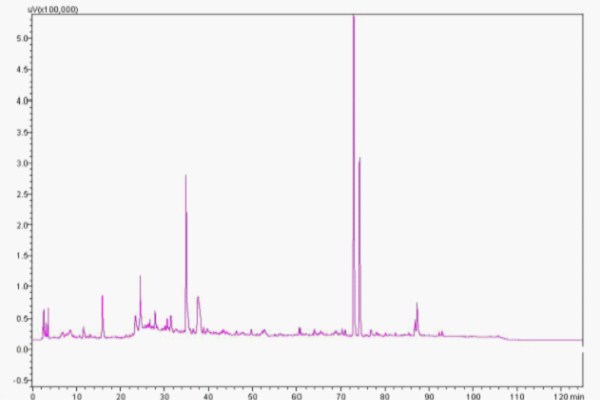 木香饮片HPLC特征图谱